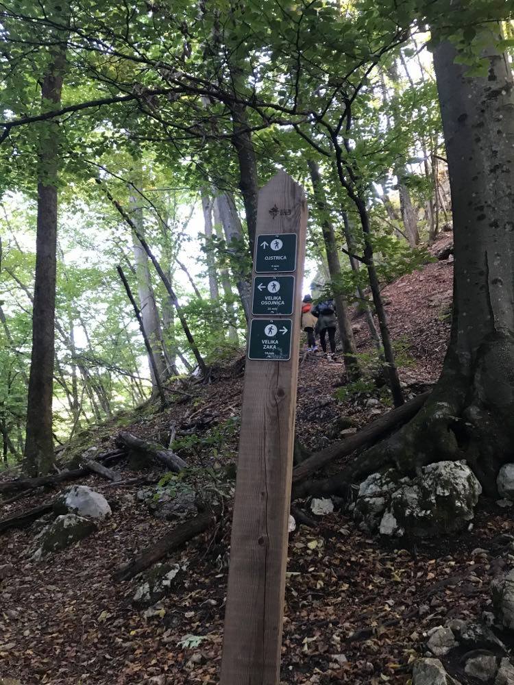 Hiking Lake Bled: Ojstrica Hike How To Do It And The Best Lake Bled Viewpoint 5 lake bled hike, ojstrica hike, the Best View of Lake Bled, The Best Lake Bled Viewpoint