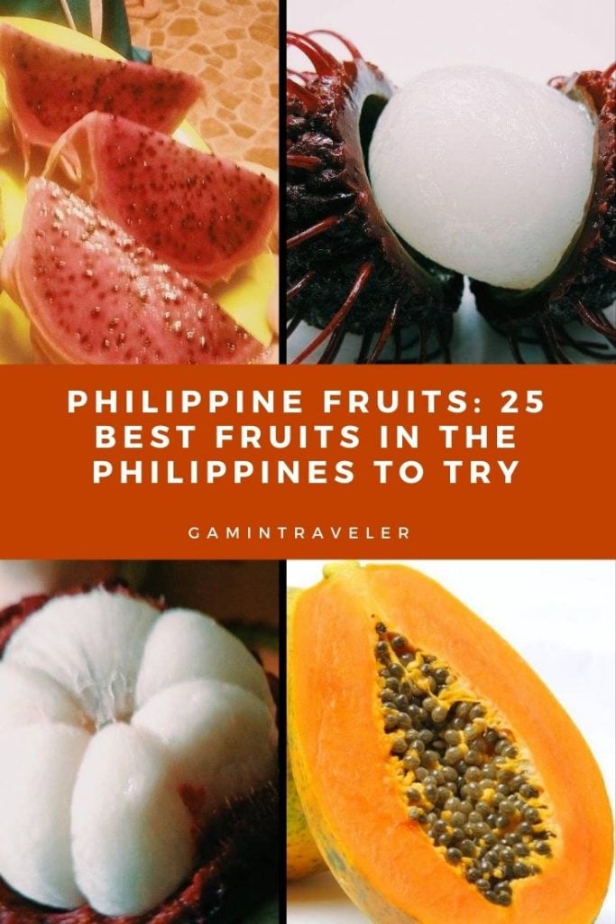 25 Philippine Fruits You Need to Try Before You Leave the Islands 2 Fruit Pin 1