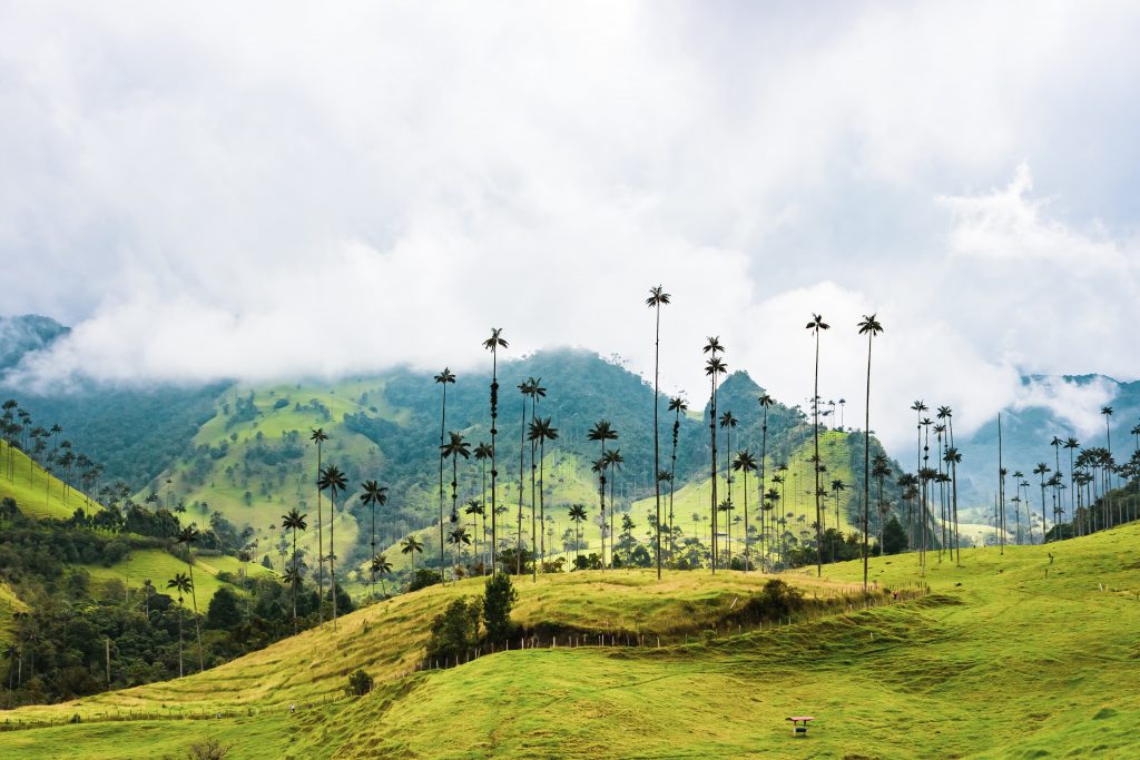 50 Things To Know Before Visiting Colombia And Colombia Travel Tips 27 Colombia travel tips, things to know before visiting Colombia, facts about Colombia, Salento, Valle de Cocora