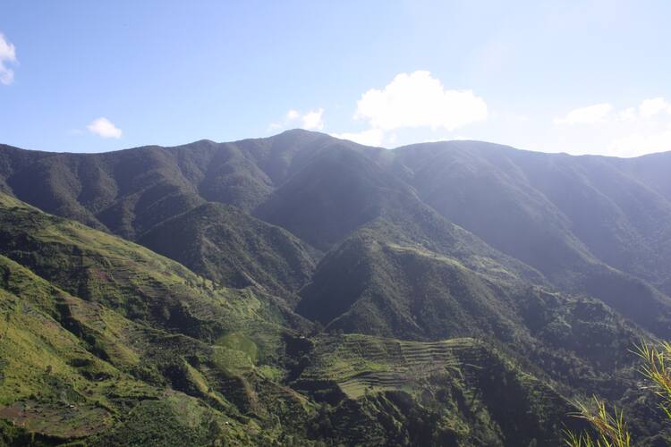 Jamaica Republic Travel Tips, things to know before visiting Jamaica, facts about Jamaica, DBlue and John Crow Mountains National Park