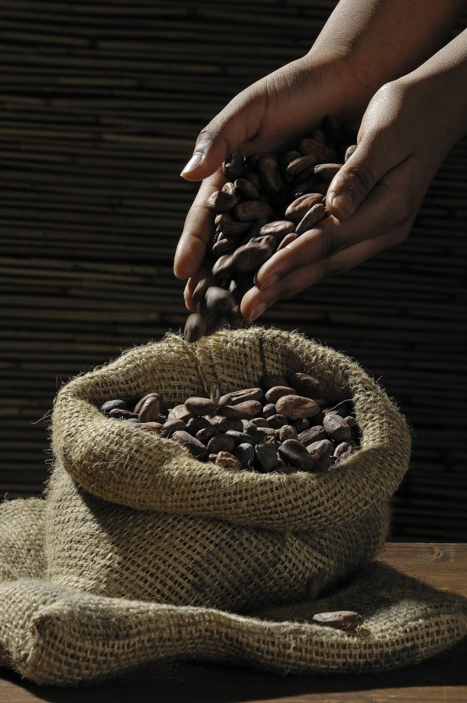 Belize Travel Tips, things to know before visiting Belize, facts about Belize, Chocolate/Cocoa in Belize