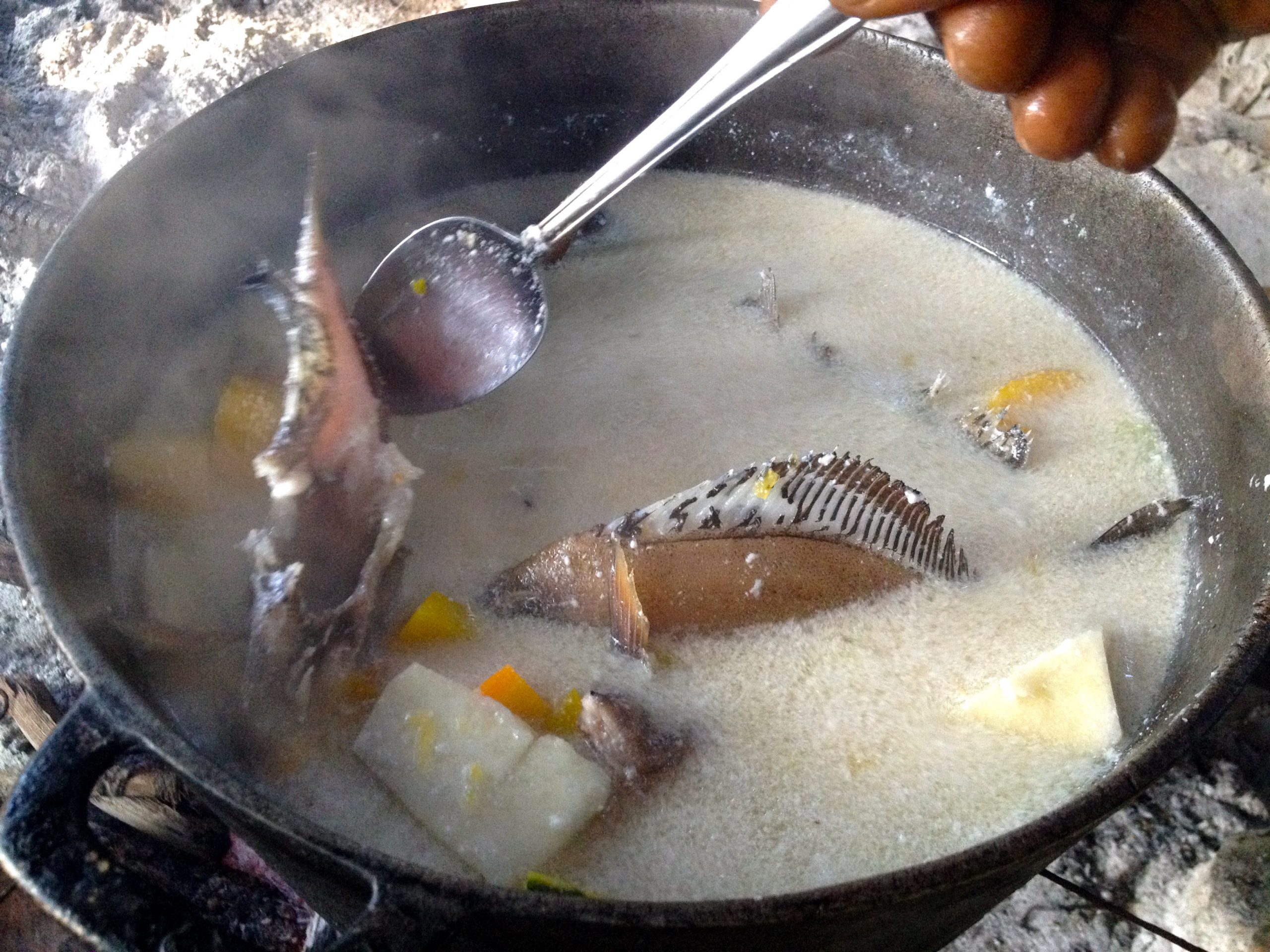 Skip the Jerk Chicken and Order These Caribbean Favorites Instead: These 13 Caribbean Dishes Are What You Should Be Ordering Instead 9 Forget About Jerk Chicken and Try These 13 Caribbean Dishes Instead (Recipe Guide)