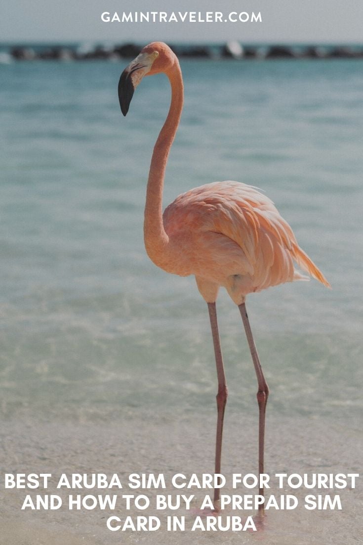 Getting an Aruba SIM Card in 2024: Prepaid SIM Card in Aruba 1 Digicel Aruba sim card, Setar Aruba sim card, best tourist sim card Aruba, Aruba sim card for tourists, best sim card for Aruba, Aruba prepaid sim card, Aruba sim card for tourist, tourist sim card Aruba, prepaid sim card Aruba, Aruba tourist sim card, sim card in Aruba, sim card Aruba, Aruba prepaid sim card, Aruba sim card airport, Aruba sim card, Aruba prepaid sim card,