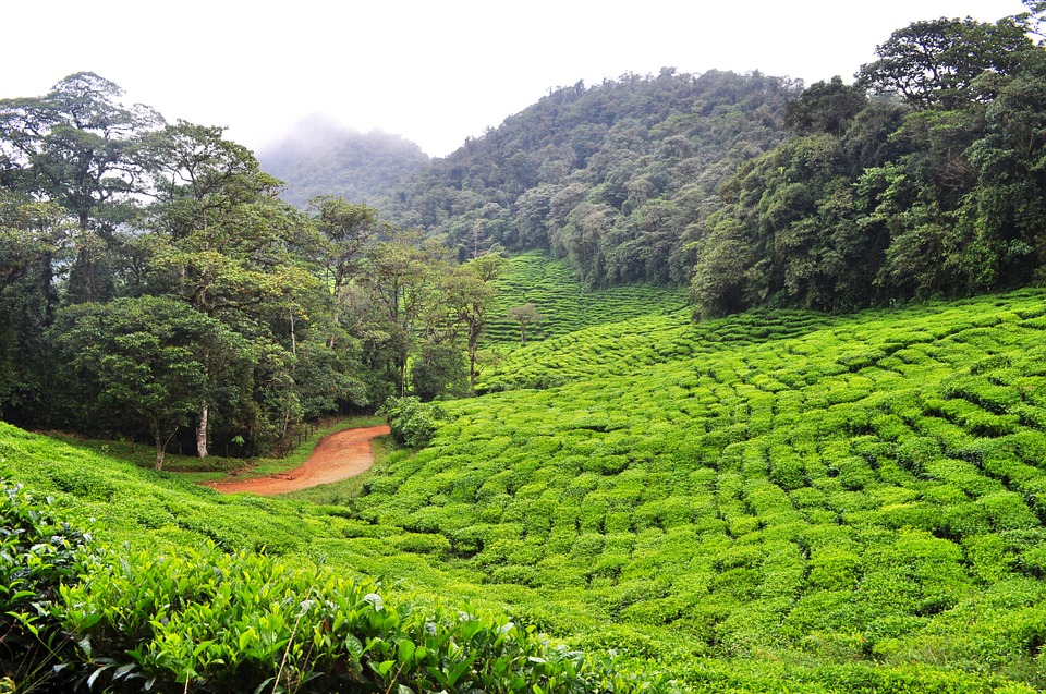 31 Most Instagrammable Places In Colombia And Best Colombia Instagram Spots That You Can't Miss 7 Dapa, Colombia instagram spots, most instagrammable places in Colombia, Colombia photos, Colombia photography