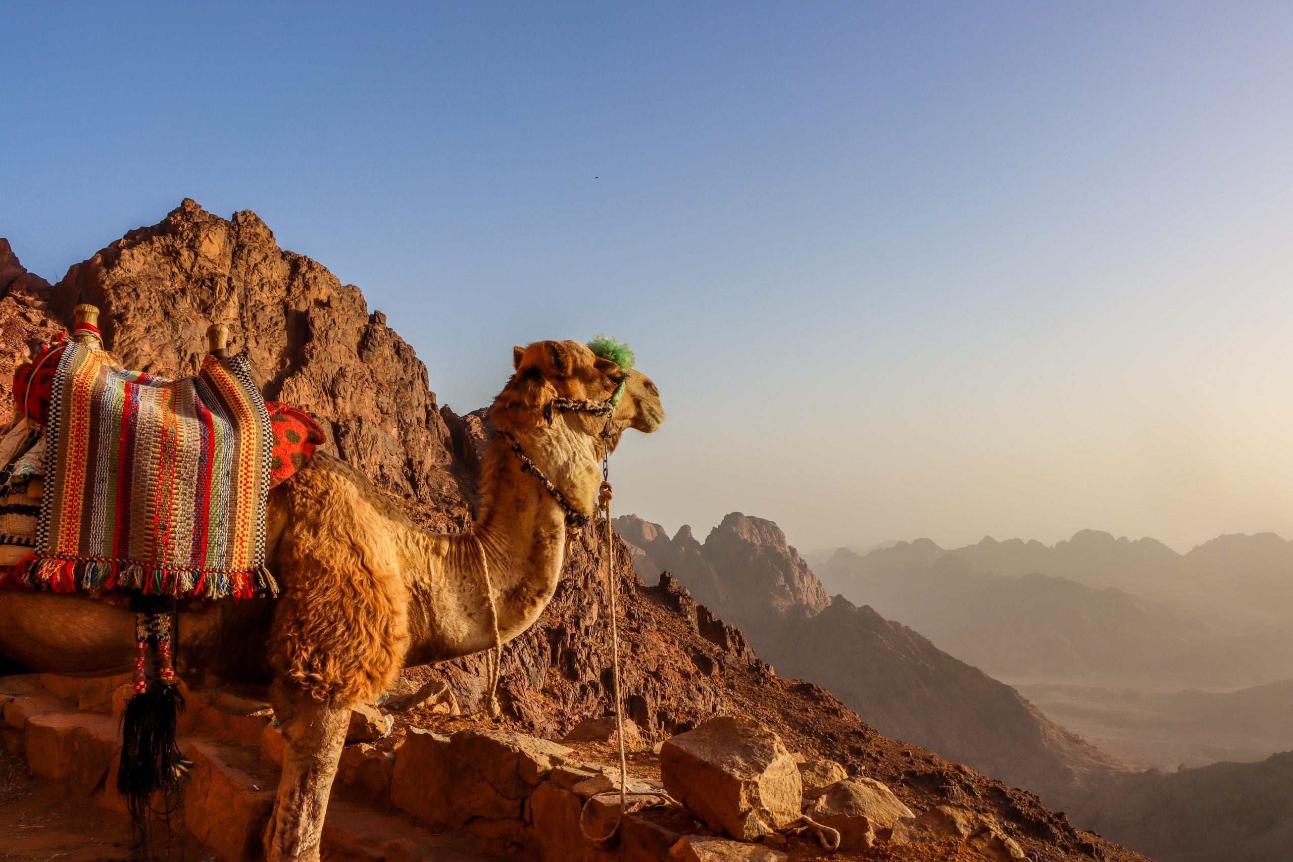 What To Wear In Egypt - Our Egypt Packing List And What To Pack For Egypt 5 what to wear in egypt, egypt packing list, packing list for egypt, travel checklist for egypt, what to pack for egypt