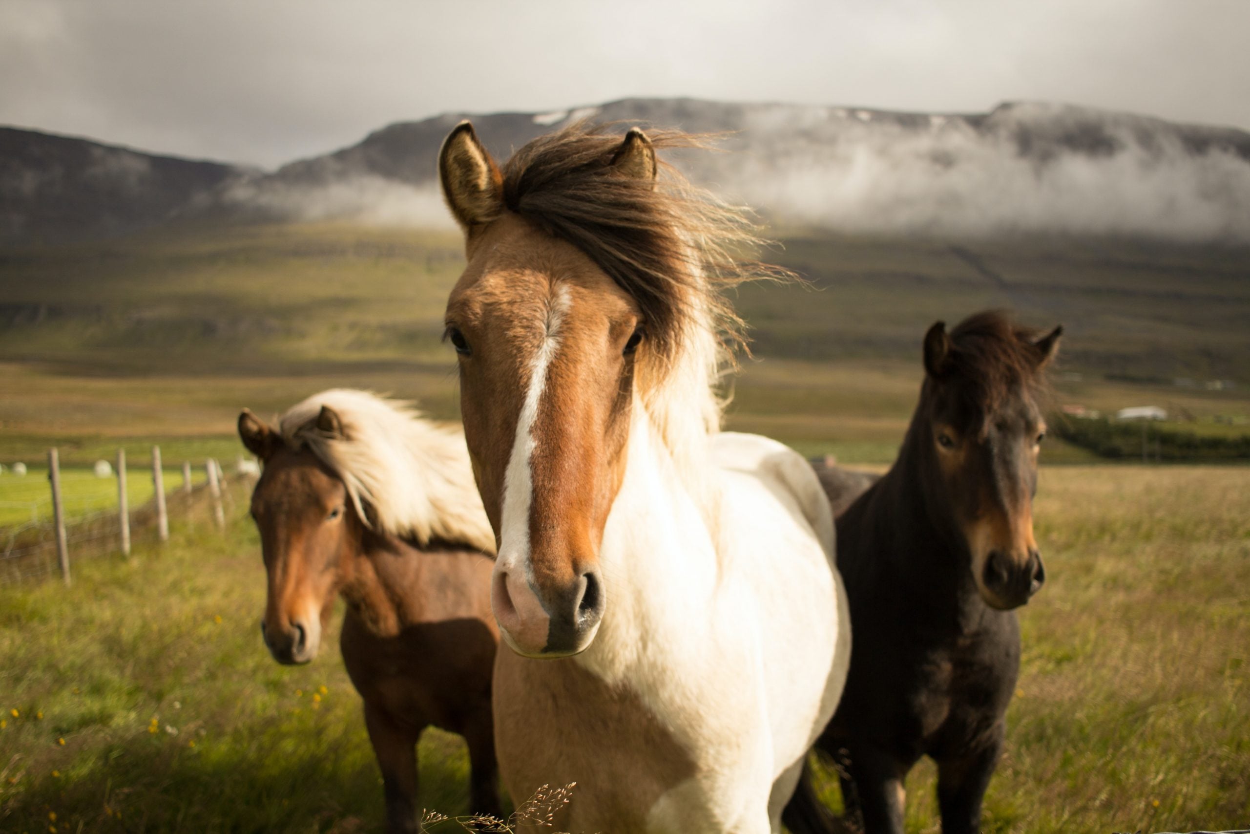 What to pack when traveling in Iceland 4 scaled