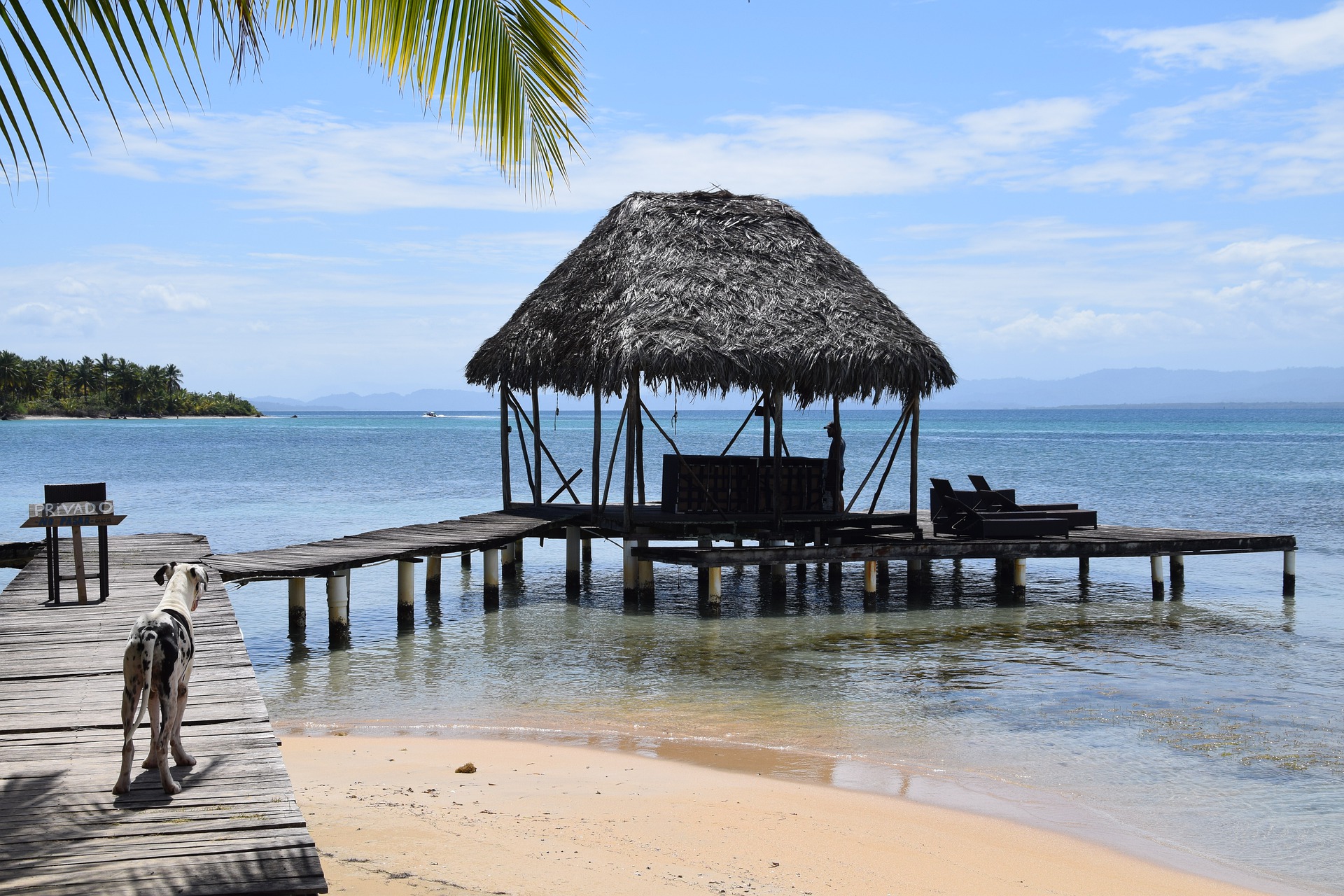 How To Get From Panama City Airport To Bocas Del Toro Best Way 6 How To Get From Panama City Airport To Bocas Del Toro - All Possible Ways
