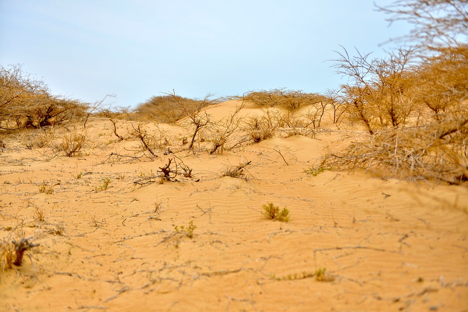 31 Most Instagrammable Places In Colombia And Best Colombia Instagram Spots That You Can't Miss 5 La Guajira, Colombia instagram spots, most instagrammable places in Colombia, Colombia photos, Colombia photography