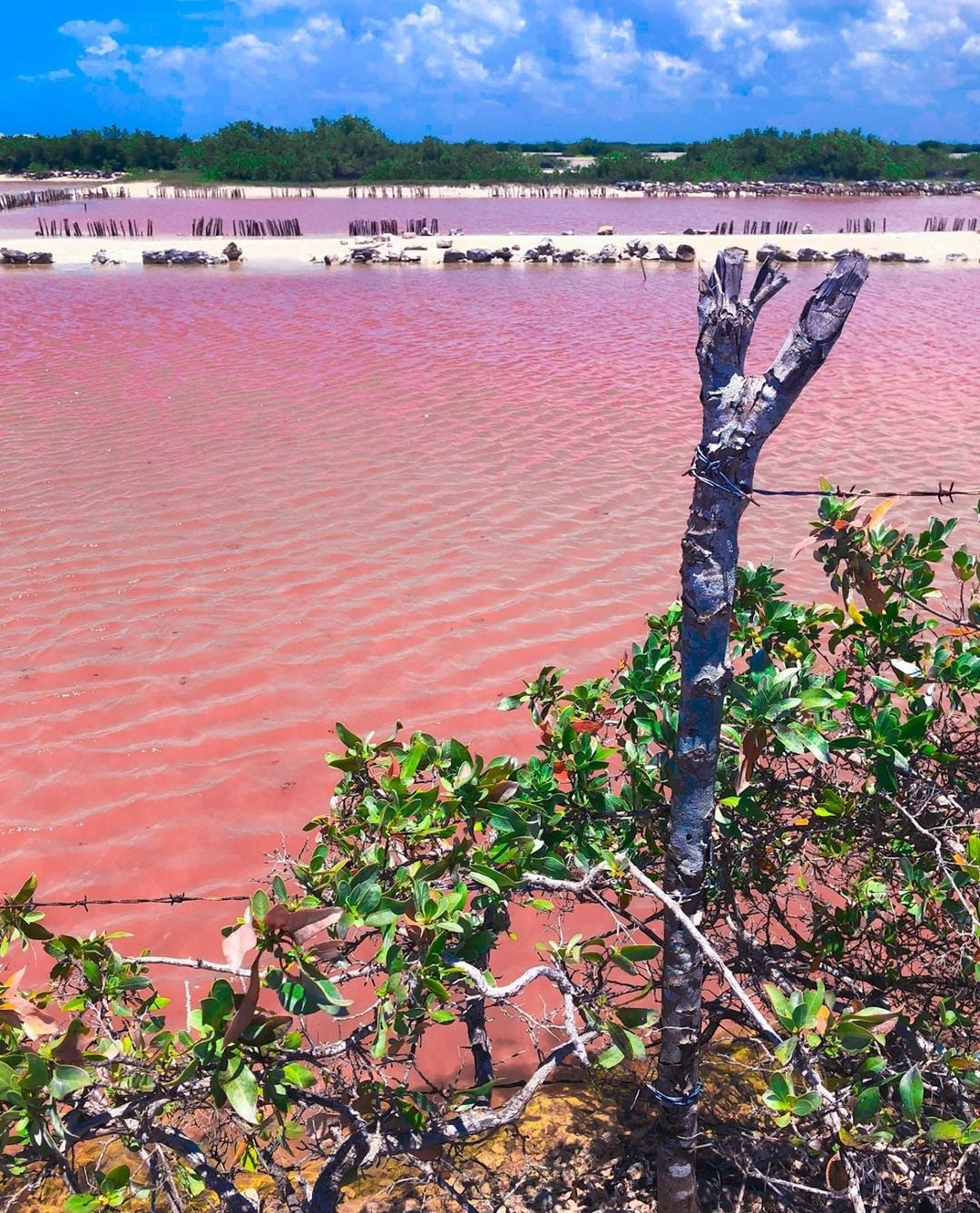 60 Things You Need to Know Before Visiting Mexico (First-Time Travelers Read This) 29 Most Instagrammable Places in Mexico, Mexico Instagram Spots, mexico photos, Mexico Photography, Pink lake