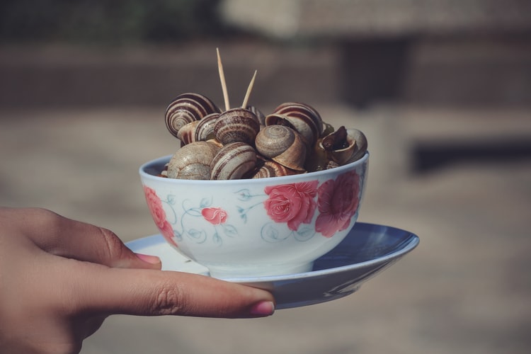 Best Moroccan Food - 45 Best Moroccan Dishes And Traditional Food In Morocco To Try 12 moroccan food, food in morocco, moroccan cuisine, moroccan dishes, traditional moroccan food, Snail soup