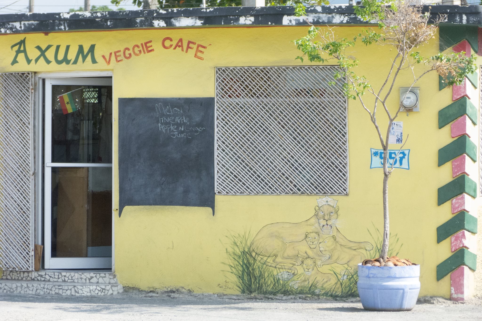 Montego Bay Food - 30 Best Restaurants In Montego Bay And Where To Eat In Montego Bay 28 2 Axum Veggie Cafe