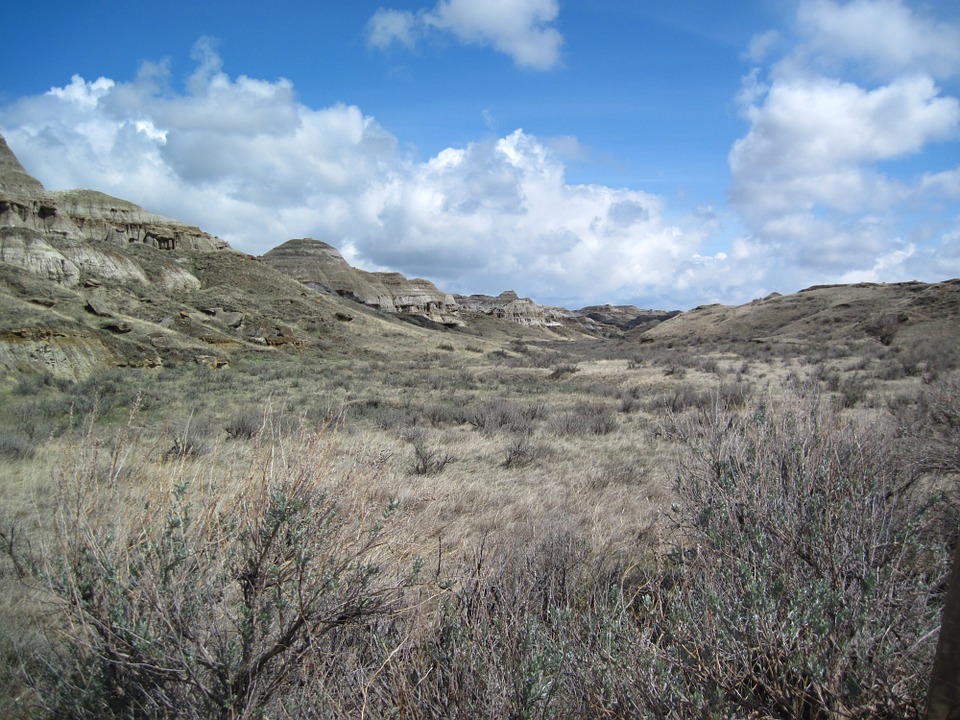 44 Most Instagrammable Places In Canada And Best Canada Instagram Spots 13 Canada instagram spots, most instagrammable places in Canada, instagrammable places in Canada, Canada photography, Canada photos, Dinosaur Provincial Park