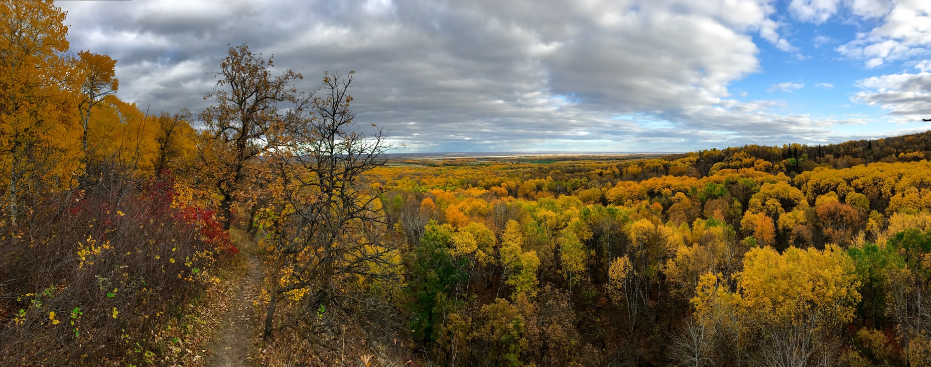 44 Most Instagrammable Places In Canada And Best Canada Instagram Spots 10 Canada instagram spots, most instagrammable places in Canada, instagrammable places in Canada, Canada photography, Canada photos, Riding Mountain National Park