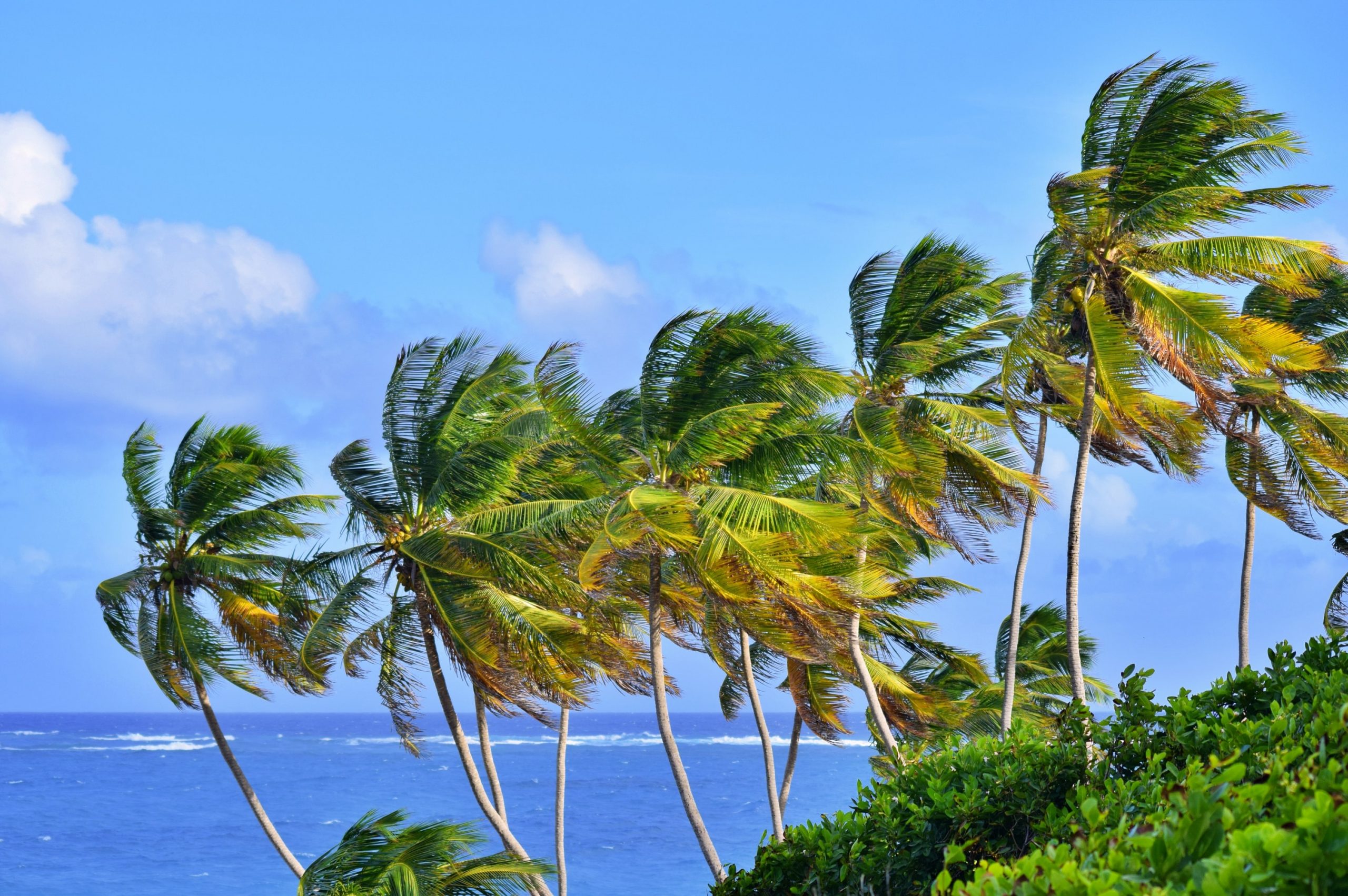 What To Wear In Barbados: Our Barbados Packing List And What To Pack For Barbados 6
barbados packing list, what to wear in barbados, what to pack for barbados
