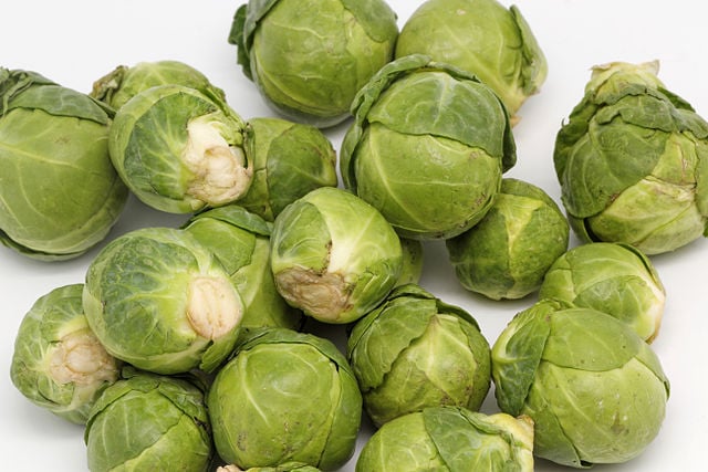Best Belgian Food - 40 Best Belgian Dishes And Traditional Food In Belgium To Try 27 Belgium Food, Belgium cuisine, Traditional Belgium Food, food in Belgium, Belgium dishes, Belgian food, Belgian dishes, Belgian cuisine, choux de bruxelles