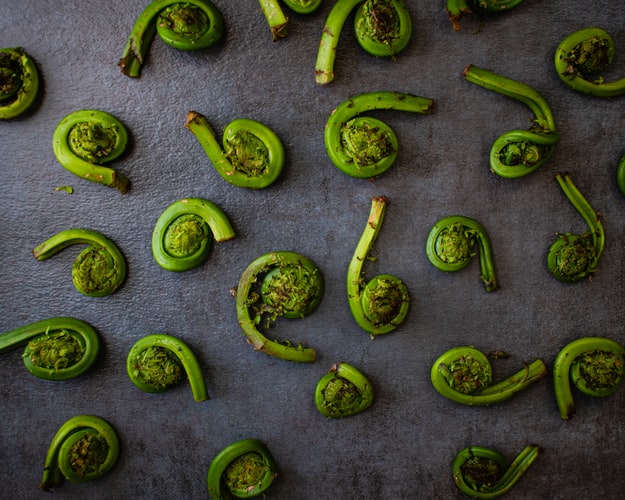 Best Canadian Food - 35 Best Canadian Dishes And Traditional Food In Canada To Try 19 Canadian Food, Canadian cuisine, Traditional Canadian Food, food in Canada, Canadian dishes, Fiddleheads