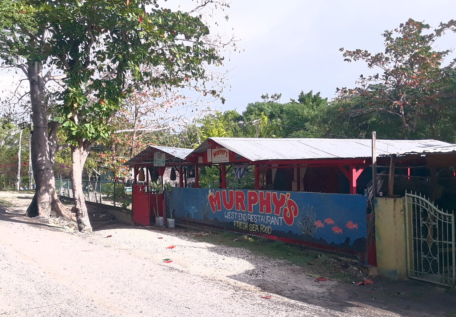 Negril Food - 30 Best Restaurants In Negril And Where To Eat In Negril 11 restaurants in negril, best restaurants in negril, where to eat in negril, negril food, negril restaurants, murphy's restaurant