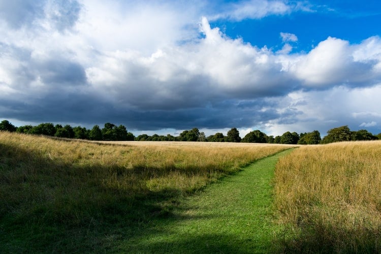 dublin instagram spots, most instagrammable places in dublin, instagrammable places in dublin, dublin photography, dublin photos, phoenix park
