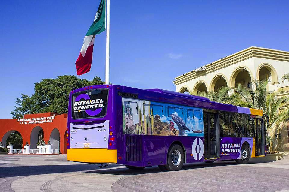 How To Get From Los Cabos Airport To City Center Best Way 2 Ruta Del Desierto Airport Bus Los Cabos, How To Get From Los Cabos Airport To City Center - All Possible Ways, cheapest way from Los Cabos airport to city center, Los Cabos airport to city center, Los Cabos airport to cabo de san lucas