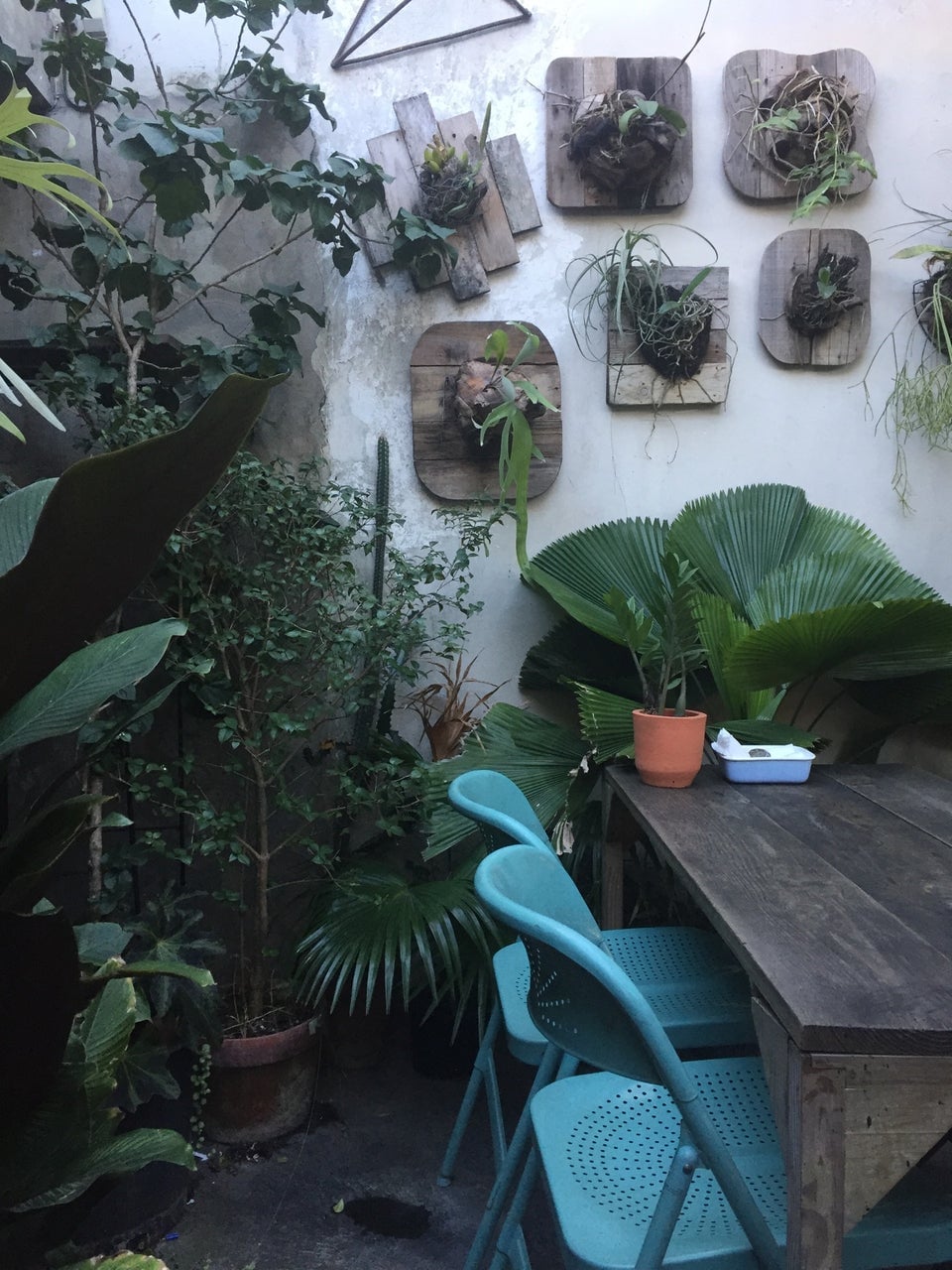 Santo Domingo Food - 30 Best Restaurants In Santo Domingo And Where To Eat 30 restaurants in santo domingo, restaurants in santo domingo dominican republic, best restaurants in santo domingo, where to eat in santo domingo, santo domingo food, papaupa