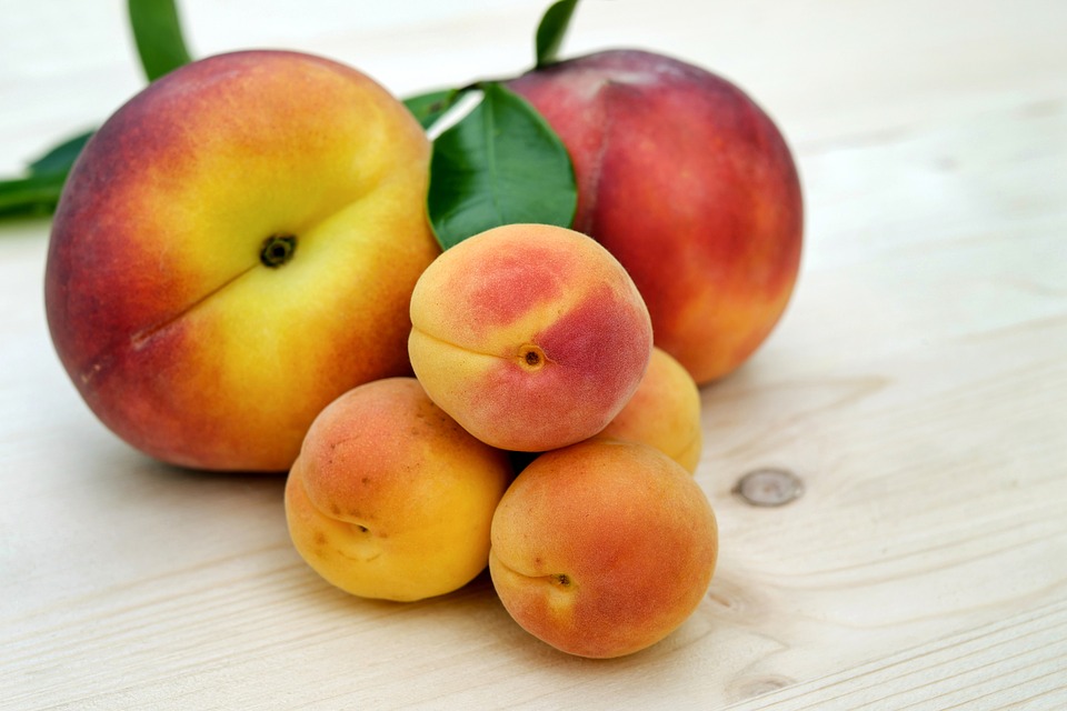 Armenian dessert, Armenia food, Armenia cuisine, traditional food in Armenia, Armenia snacks, Armenia desserts, Armenia apricot