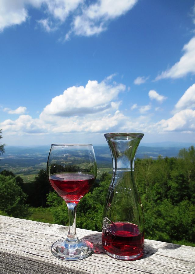 Best Slovenian Food - 42 Best Slovenian Dishes And Traditional Food In Slovenia To Try 39 Slovenian Cuisine, Slovenian drinks, Traditional Slovenian drinks, Slovenia drinks, Cviček