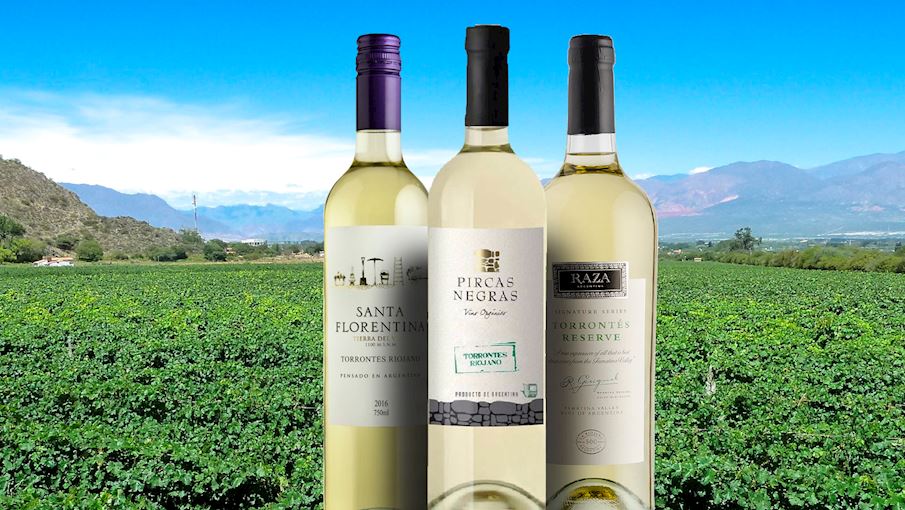 Best Argentinian Food - 46 Best Argentinian Dishes and Traditional Food in Argentina to Try 44 Argentinian drinks, drinks in argentina, traditional Argentinian drinks, argentina drinks, torrontes riojano