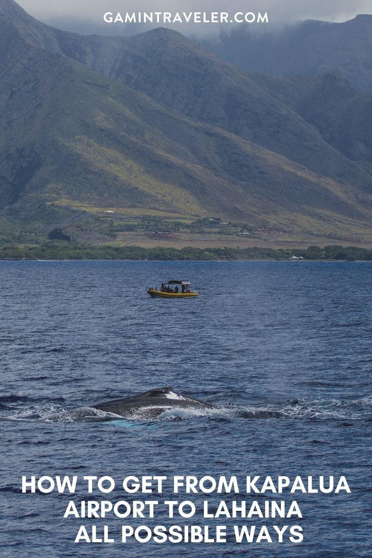 How To Get From Kapalua Airport To Lahaina Best Way 1 How To Get From Kapalua Airport To Lahaina - All Possible Ways, cheapest way from Kapalua airport to Lahaina, Kapalua airport to Lahaina, Maui Airport Bus To Lahaina