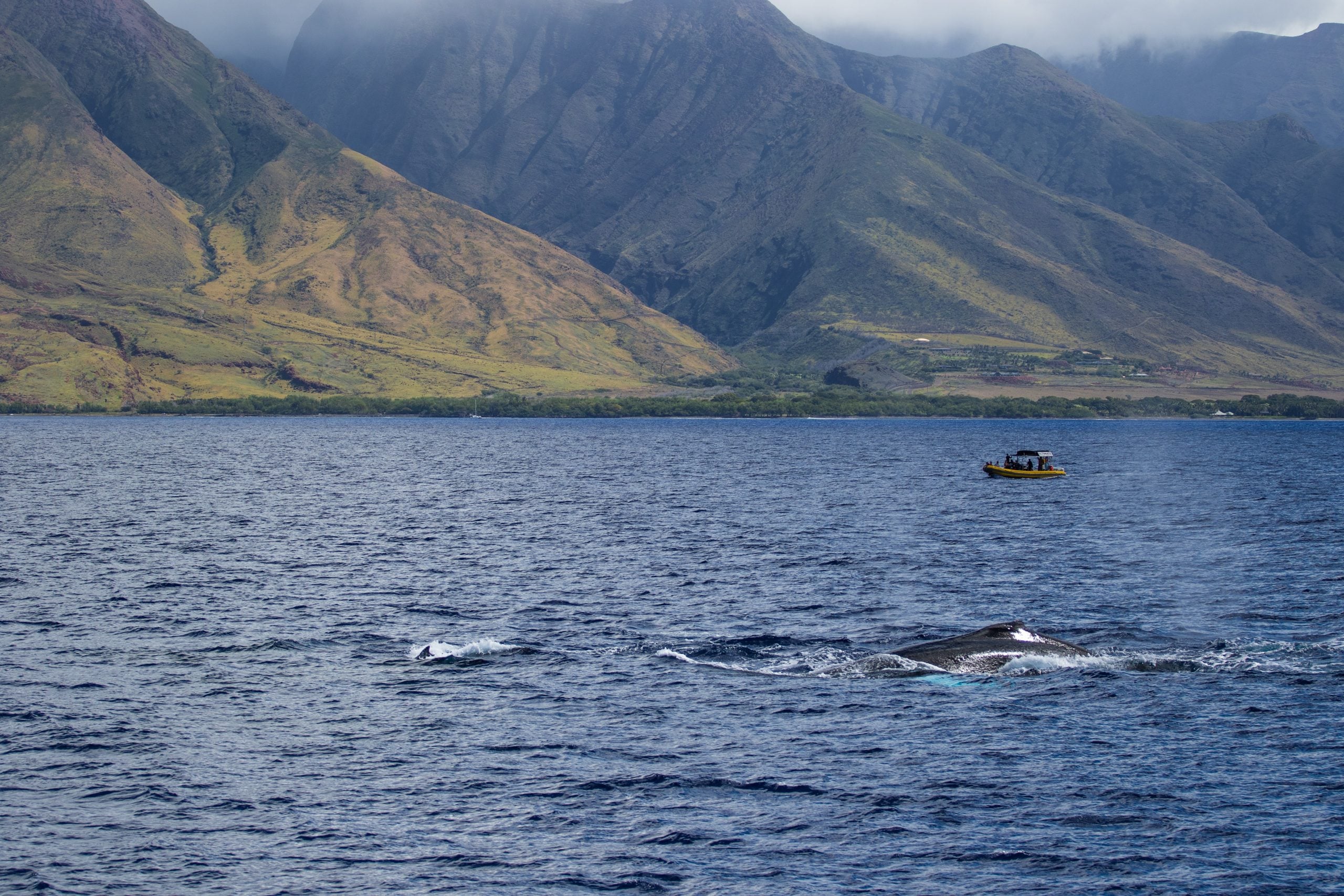 How To Get From Kapalua Airport To Lahaina Best Way 2 How To Get From Kapalua Airport To Lahaina - All Possible Ways, cheapest way from Kapalua airport to Lahaina, Kapalua airport to Lahaina, Maui Airport Bus To Lahaina, Kapalua to Lahaina