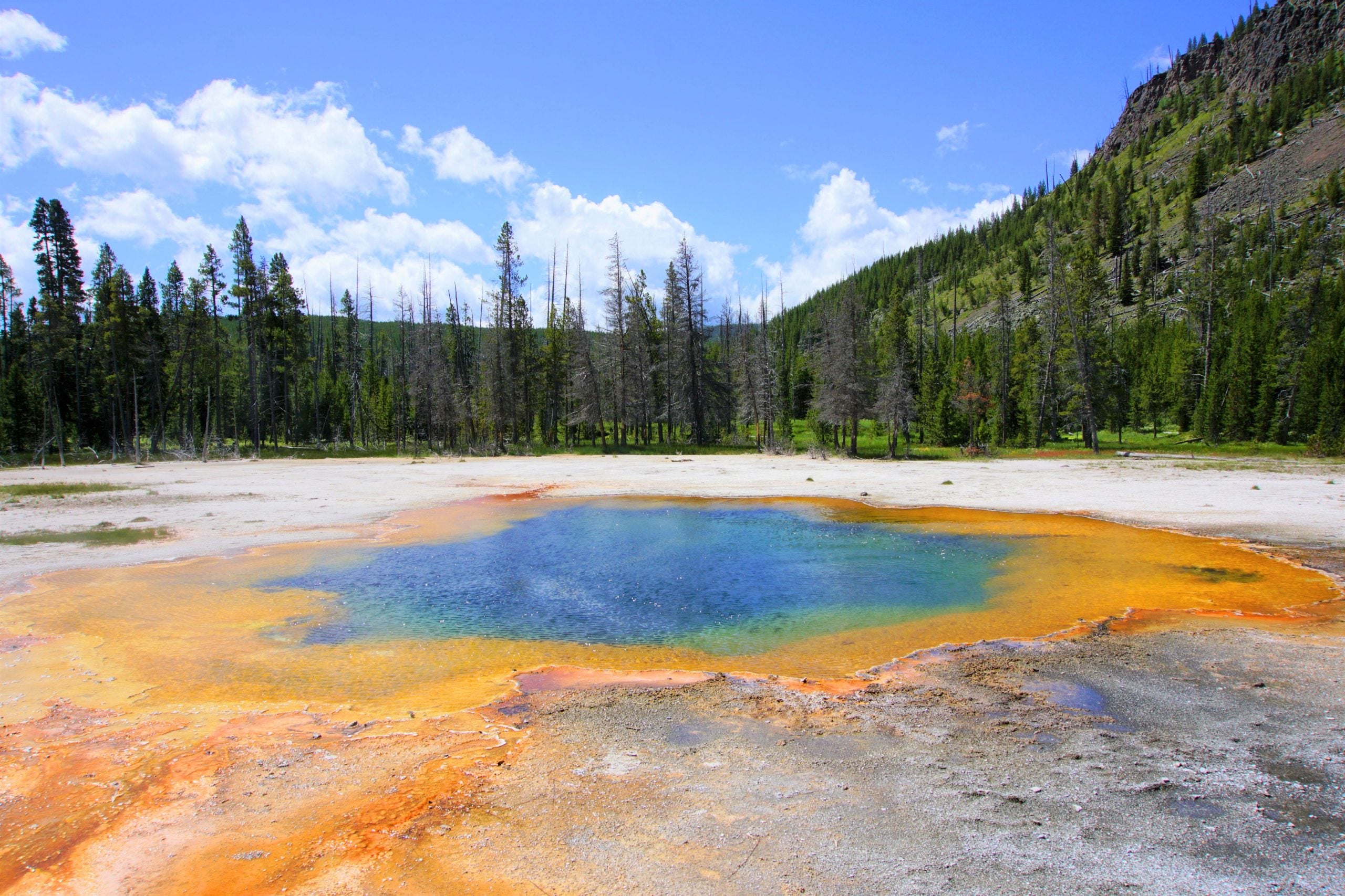 10 Most Stunning National Parks in the US 2 Yellowstone National Park 2 scaled