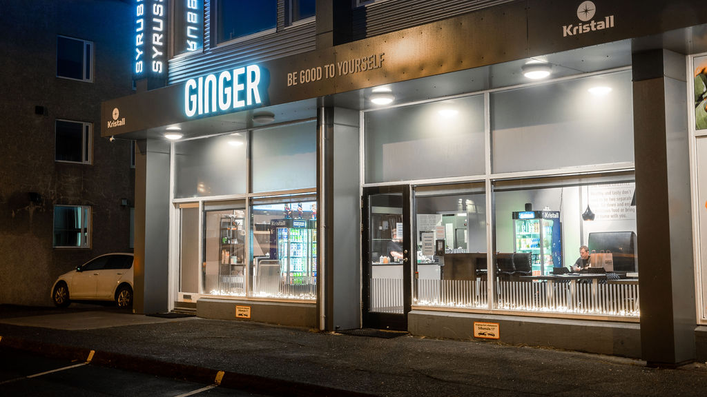 Reykjavik Food - 30 Best Restaurants In Reykjavik And Where To Eat 29 vegan restaurants in Reykjavik, vegetarian restaurants in Reykjavik, vegan in Reykjavik, vegetarian in Reykjavik, ginger