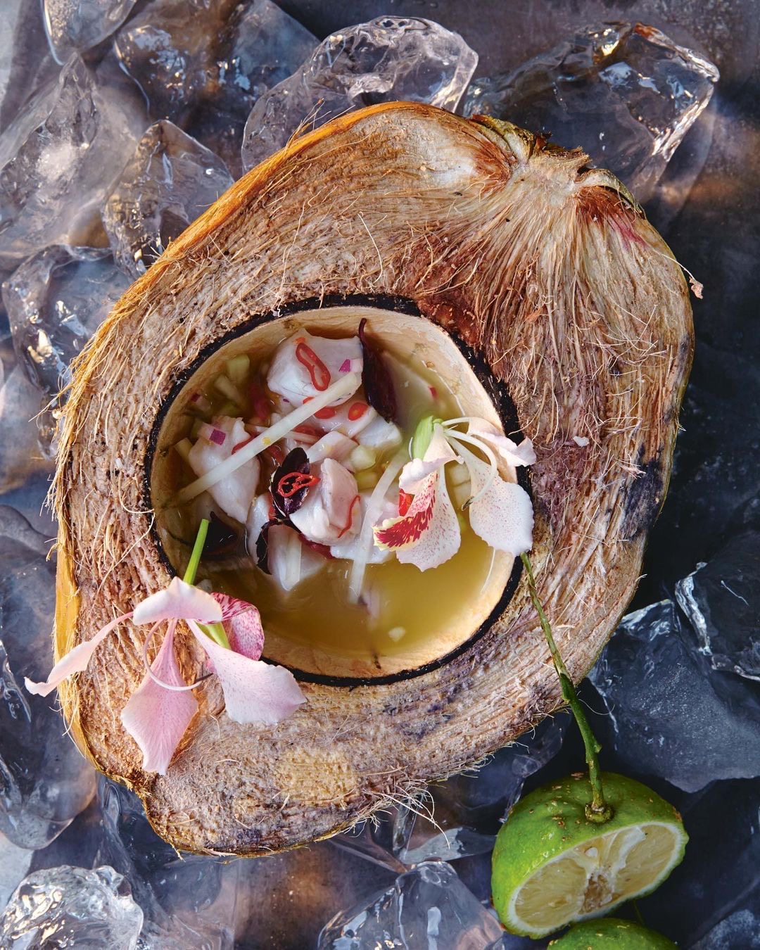 Tulum Food - 30 Best Restaurants In Tulum 9 Restaurants In Tulum, best Restaurants In Tulum, Tulum food, where to eat in Tulum, vegetarian Restaurants In Tulum, vegan Restaurants In Tulum, Tulum restaurants