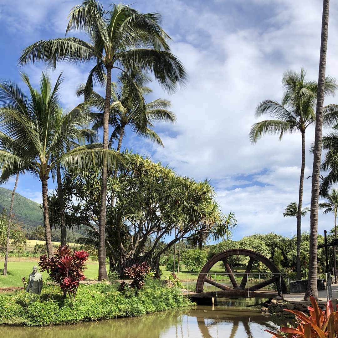 Wailuku Food - 17 Best Restaurants In Wailuku And Where To Eat 5 MAUI TROPICAL PLANTATION , restaurants in Wailuku, restaurants in Wailuku, plant based restaurants in Wailuku, vegetarian restaurants in Wailuku, vegan restaurants in Wailuku