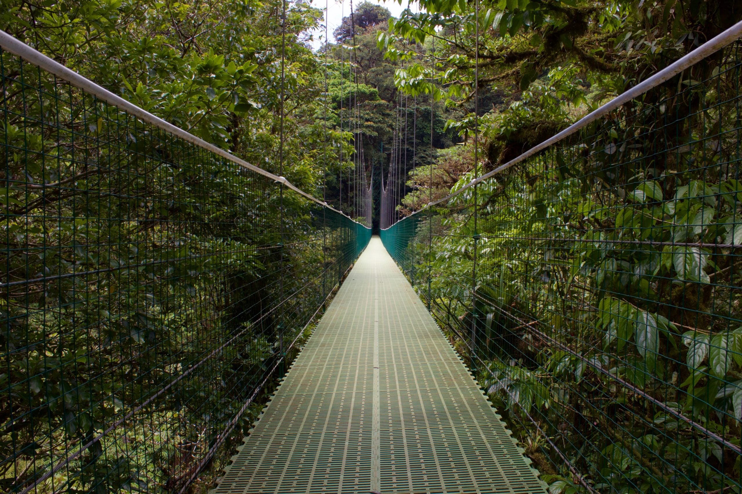 How To Get From Liberia Airport to Monteverde - All Possible Ways, cheapest way from Liberia Airport to Monteverde, Liberia Airport to Monteverde, Liberia Costa Rica Airport to Monteverde, Liberia to Monteverde, Liberia costa rica to Monteverde, Liberia to La Fortuna bus, Liberia to Monteverde costa rica