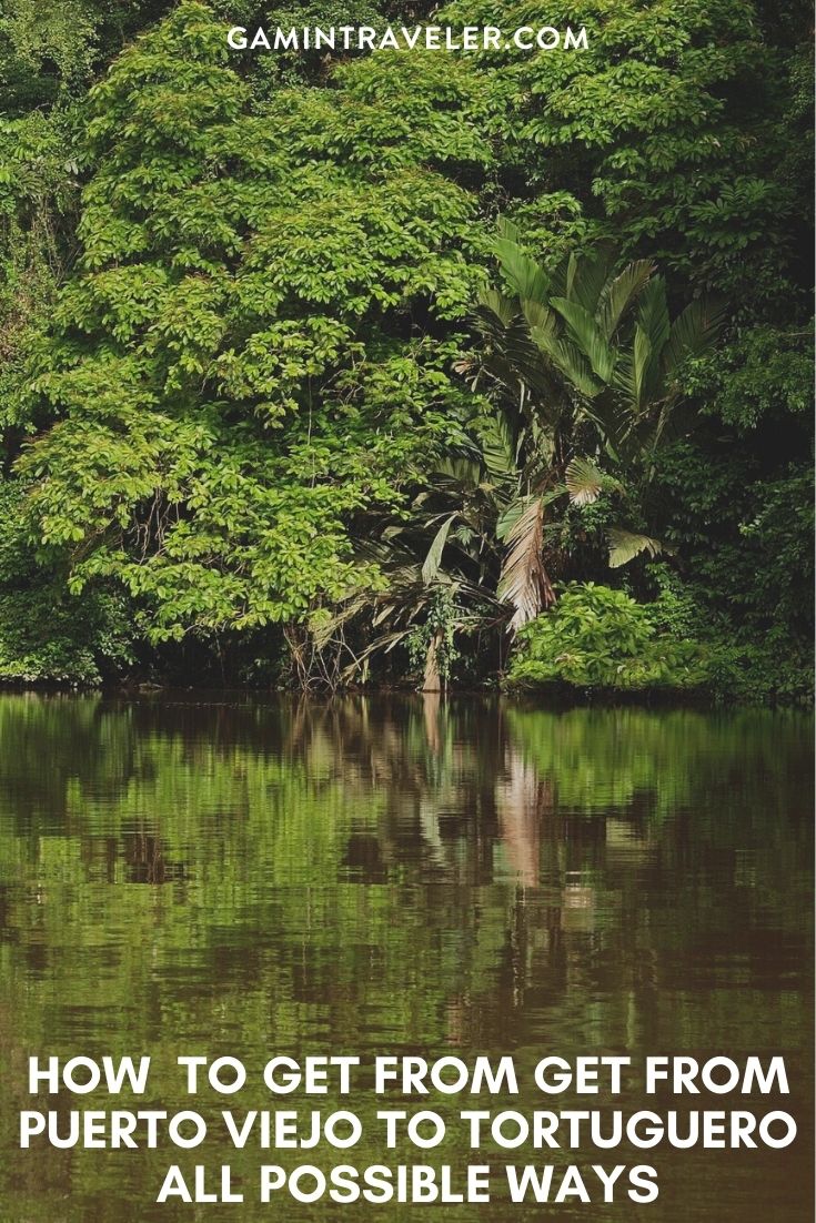 How To Get From Puerto Viejo to Tortuguero Best Way 1 How To Get From Puerto Viejo to Tortuguero - All Possible Ways, cheapest way from Puerto Viejo to Tortuguero, Puerto Viejo to Tortuguero, Puerto Viejo costa rica to Tortuguero, Puerto Viejo to Tortuguero bus, Puerto Viejo to Tortuguero costa rica