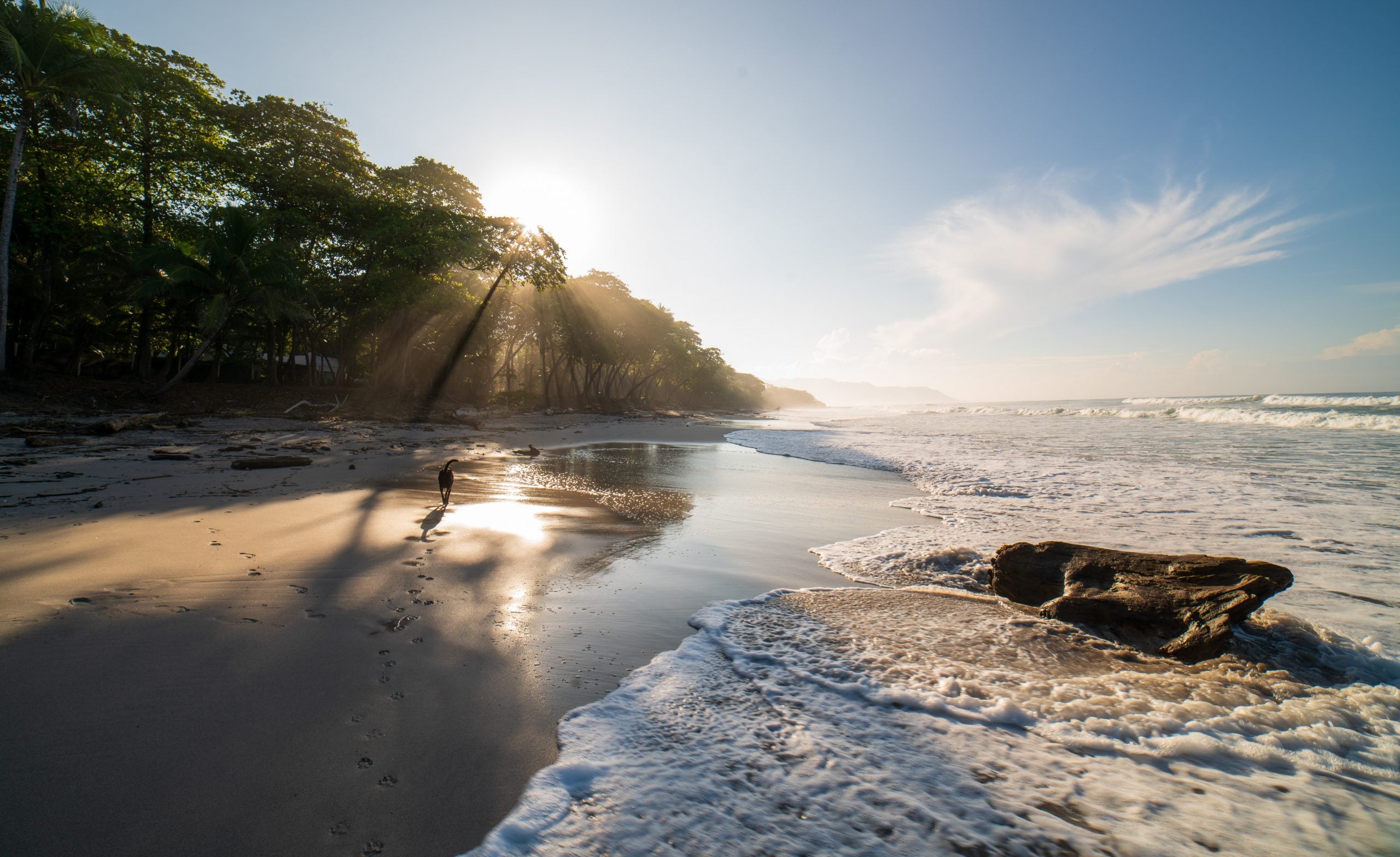 How To Get From Montezuma To Santa Teresa Best Way 3 How To Get From Montezuma To Santa Teresa - All Possible Ways, cheapest way from Montezuma to Santa Teresa, Montezuma to Santa Teresa, Montezuma Bus to Santa Teresa, Montezuma to Cobano, Cobano to Santa Teresa