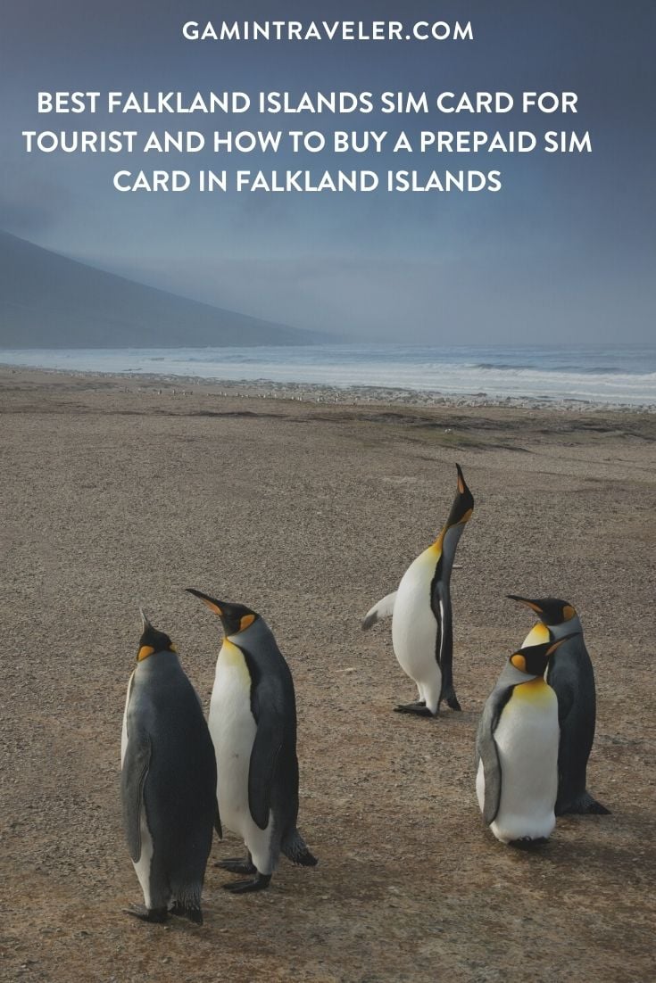 Getting a Falkland Islands SIM Card in 2024: Prepaid SIM Card in Falkland Islands 1 sim card Falkland Islands airport, cheapest sim card in Falkland Islands, Sure South Island Sim Card, Sure Falkland Islands sim card, best tourist sim card Falkland Islands, Falkland Islands sim card for tourists, best sim card for Falkland Islands, Falkland Islands prepaid sim card, Falkland Islands sim card for tourist, tourist sim card Falkland Islands, prepaid sim card Falkland Islands, Falkland Islands tourist sim card, sim card in Falkland Islands, sim card Falkland Islands, Falkland Islands sim card airport, Falkland Islands sim card, flaklands sim card Prepaid Falkland Islands Sim Card, Falkland Islands data sim card, Sure Falkland Islands