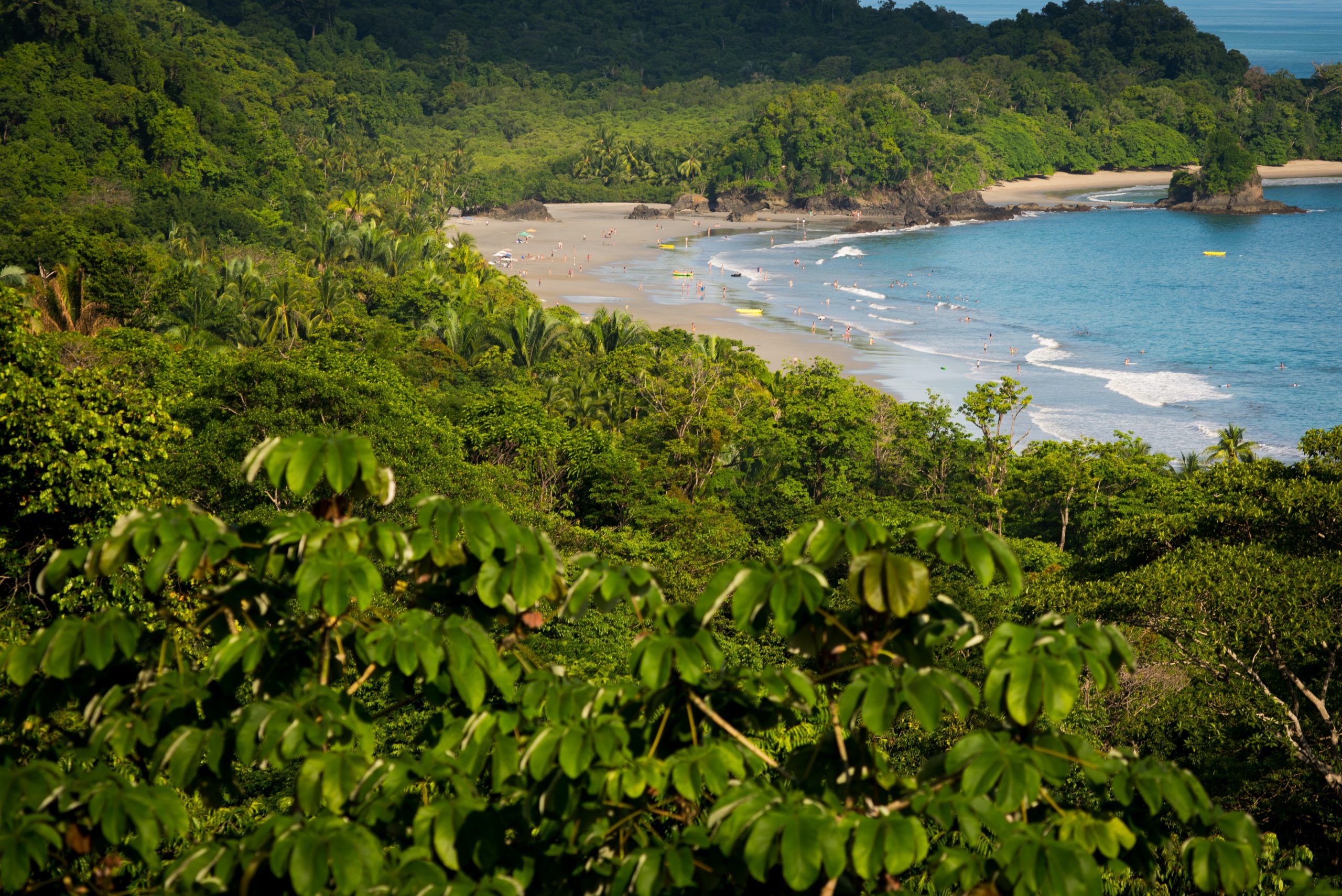 How To Get From Tortuguero To Manuel Antonio - All Possible Ways, cheapest way from Tortuguero to Manuel Antonio, Tortuguero to Manuel Antonio, Tortuguero to Manuel Antonio bus, Tortuguero to La Pavona, La Pavona to Cariari, La Pavona to San Jose, Tortuguero to San Jose