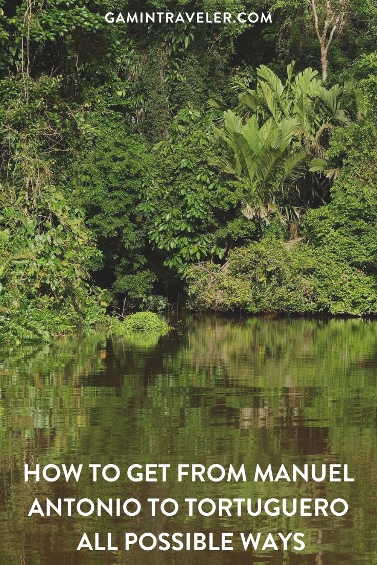 How To Get From Manuel Antonio To Tortuguero Best Way 1 How To Get From Manuel Antonio To Tortuguero - All Possible Ways, cheapest way from Manuel Antonio to Tortuguero, Manuel Antonio to Tortuguero, Manuel Antonio to Tortuguero bus, Puntarenas to Manuel Antonio, Puntarenas to Quepos bus, Quepos to Puntarenas bus, Manuel Antonio to Quepos bus, Quepos to San Jose bus, La Pavona To Tortuguero, San Jose to Cariari, Cariari to La Pavona, San Jose to Tortuguero