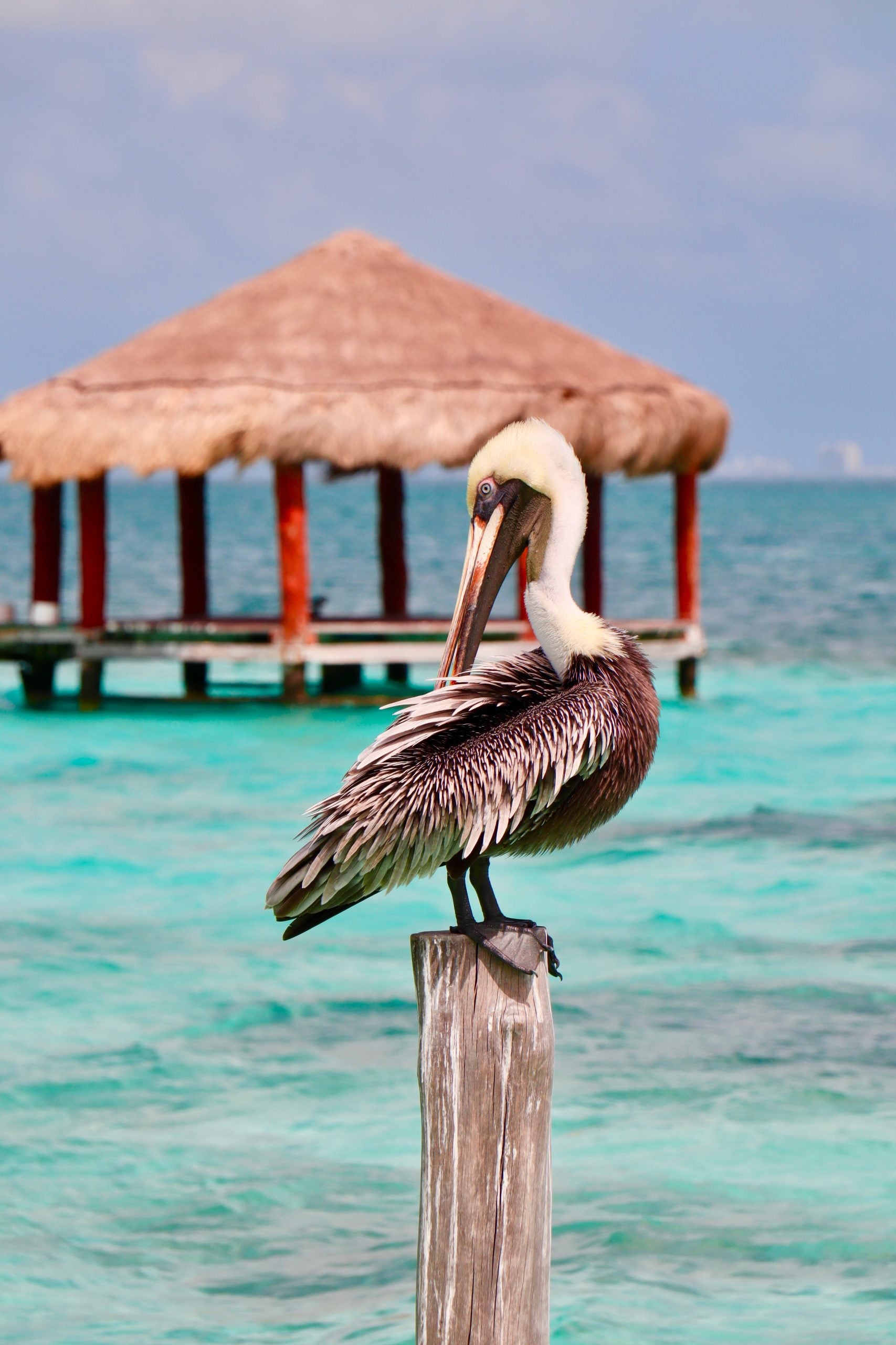 Best Beaches in Cancun for a Couple Getaway 3 Puerto Morelos scaled