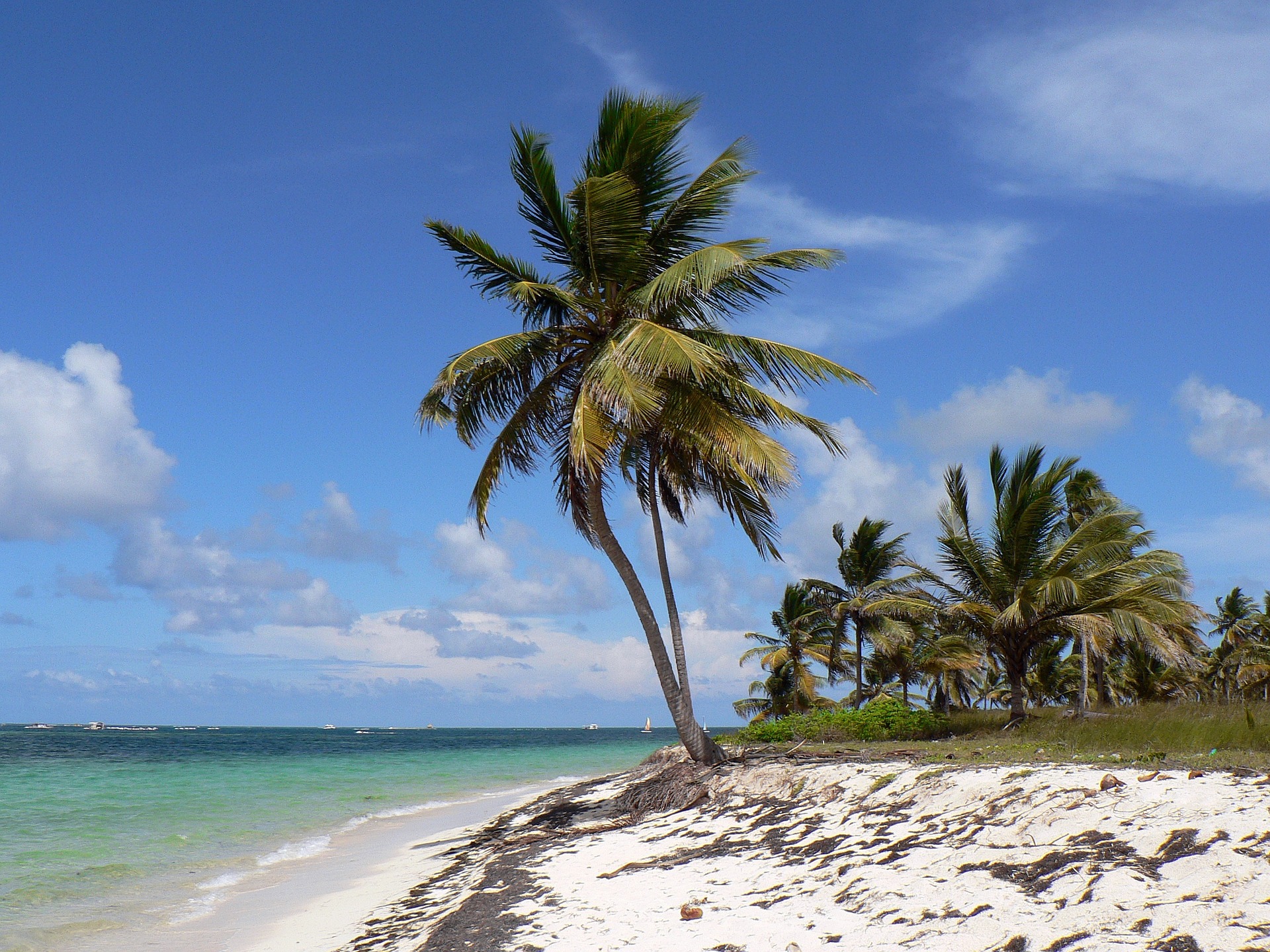 Cabarete to Punta Cana