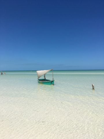 How To Get From Cancun Airport To Holbox - All Possible Ways, cheapest way from Cancun Airport to Holbox , Cancun Airport to Chiquila, Cancun to Holbox bus and ferry, ADO Cancun Airport to Isla Holbox, ADO Bus Cancun to Chiquila, ferry chiquila to Holbox