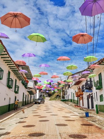 How To Get From Bogota to San Agustin Huila - All Possible Ways, cheapest way Bogota to San Agustin,Bogota to San Agustin bus, Hostal Bambu San Agustin Huila
