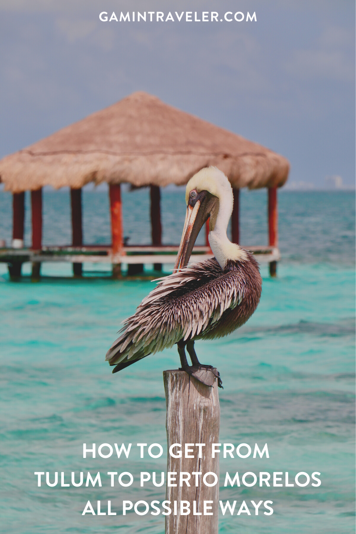 How To Get From Tulum to Puerto Morelos By Best Way 1 How To Get From Tulum to Puerto Morelos - All Possible Ways, cheapest way from Tulum to Puerto Morelos, Tulum to Puerto Morelos, ado bus Tulum to Puerto Morelos, shared van Tulum to Puerto Morelos, Colectivo Tulum to Puerto Morelos, Uber from Tulum to Puerto Morelos, taxi from Tulum to Puerto Morelos