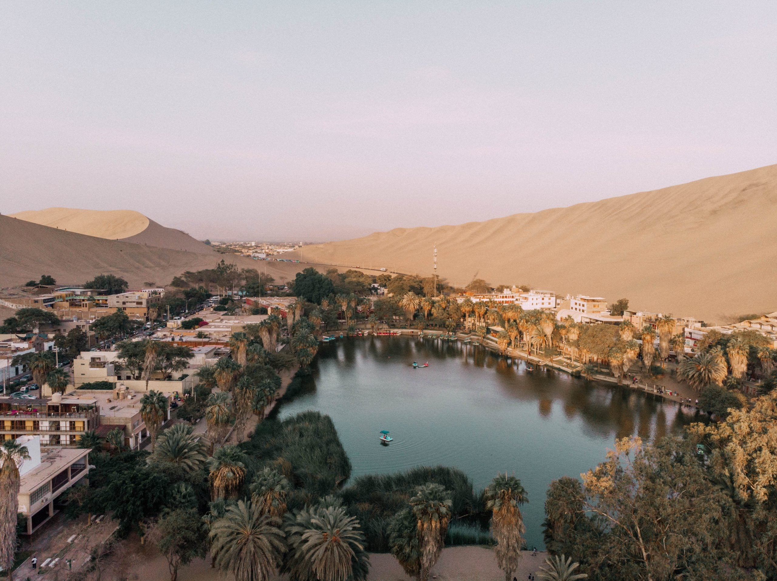 How To Get From Arequipa To Paracas (Arequipa to Ica) Best Way 10 How To Get From Arequipa To Paracas (Arequipa to Ica) By Bus - All Possible Ways, cheapest way from Arequipa To Paracas, Arequipa to Ica ,cheapest way from Arequipa To Paracas, bus from Arequipa to Ica, bus from Arequipa To Paracas, Ica to Paracas, Bus Ica to Paracas sandboarding in Huacachina, buggy in Huacachina, pisco tour in Huacachina, day tour Lima to Huacachina, Huacachina Oasis