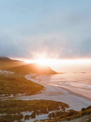 How To Get From Dunedin Airport To City Center - All Possible Ways, cheapest way from Dunedin airport to Downtown, cheapest way from Dunedin airport to city, Dunedin airport to city center, Dunedin airport to Dunedin, Dunedin Bus Airport, bus from Dunedin airport to city center, taxi Dunedin airport to city center, Uber Dunedin airport to city, train Dunedin airport to city center, shuttle bus Dunedin airport to city center