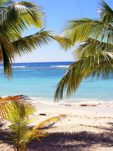 best Dominica eSim, Dominica esim, Dominica esim unlimited data, unlimited data esim Dominica, best esim for Dominica, Dominica tourist esim, esim Dominica, Dominica esim, Dominica esim for tourist, Dominica esim for tourists, Dominica prepaid esim, Prepaid eSim in Dominica, cheapest esim in Dominica, best data plan esim Dominica, Airalo Dominica Esim, Holafly Dominica eSim, Nomad eSim Dominica, MTX eSim Dominica, data eSim in Dominica, Airalo Dominica esim discount code, Holafly Dominica discount code, Nomad Dominica esim discount code, Ubigi Dominica esim discount code, GigSky Dominica eSim