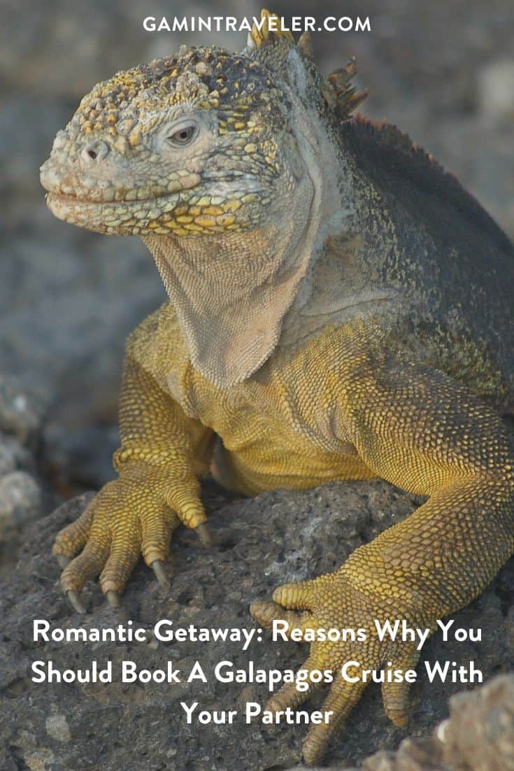 Romantic Getaway: Reasons Why You Should Book A Galapagos Cruise With Your Partner 1 Romantic Getaway: Reasons Why You Should Book A Galapagos Cruise With Your Partner