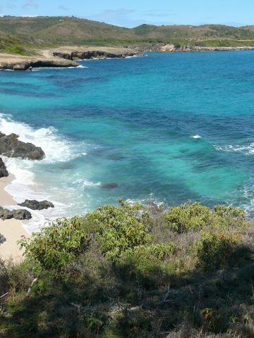 best Martinique esim, Martinique esim, Martinique esim unlimited data, unlimited data esim Martinique, best esim for Martinique, Martinique tourist esim, esim Martinique, Martiniquean esim, Martinique esim for tourist, Martinique esim for tourist, Martinique prepaid esim, Prepaid eSim in Martinique, cheapest esim in Martinique, best data plan esim Martinique, Airalo Martinique Esim, Holafly Martinique eSim, Nomad eSim Martinique, MTX eSim Martinique, data eSim in Martinique, Airalo Martinique esim discount code, Holafly Martinique discount code, Nomad Martinique esim discount code, Ubigi Martinique esim discount code
