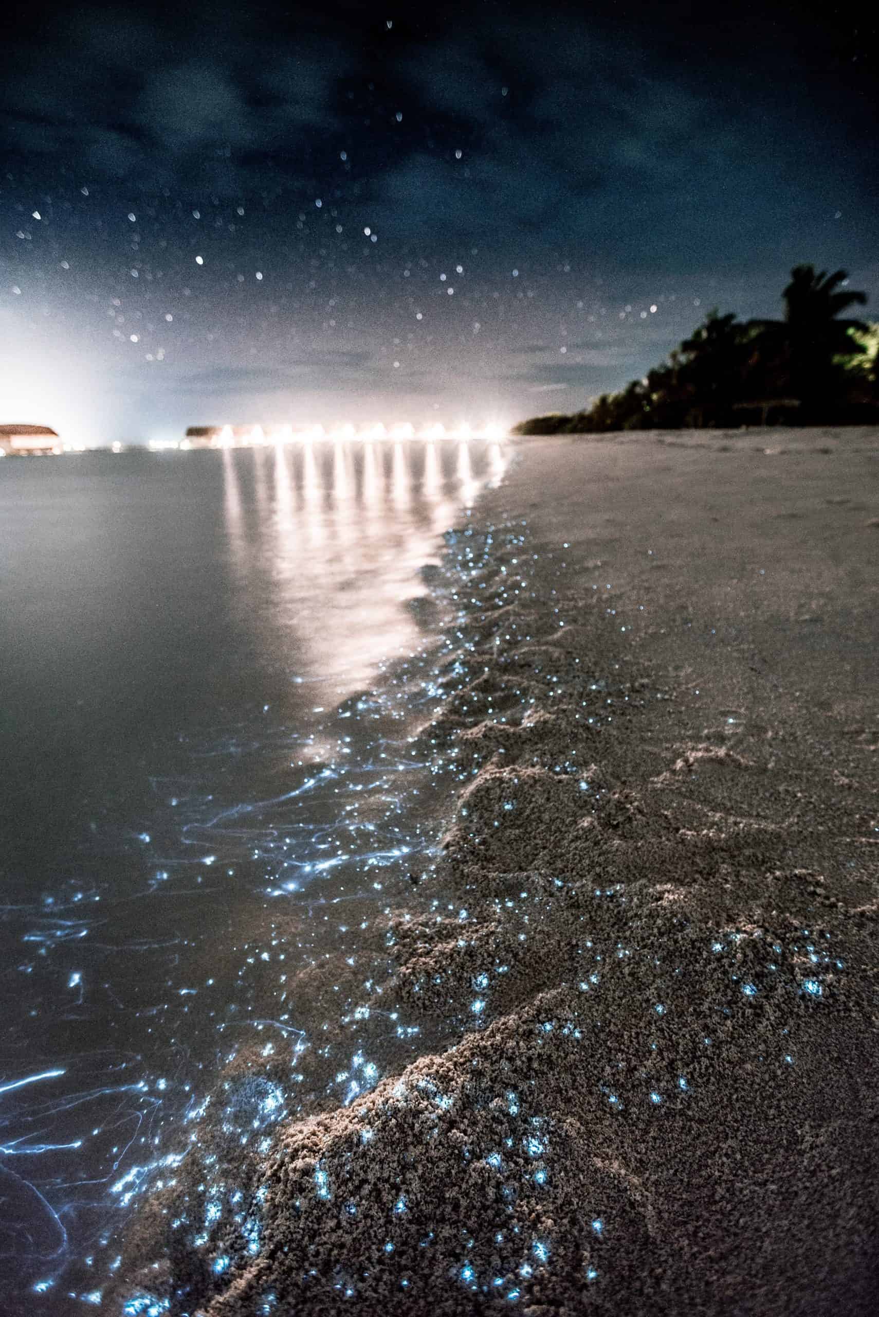Comparison Holbox vs Isla Mujeres - Which One is Better 7 Holbox vs Isla Mujeres - Which One is Worth Visiting